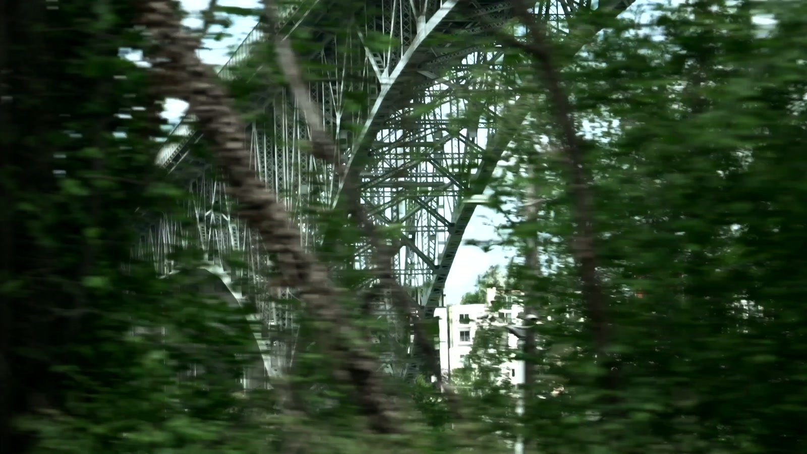 THE 5TANDARD — frame 12